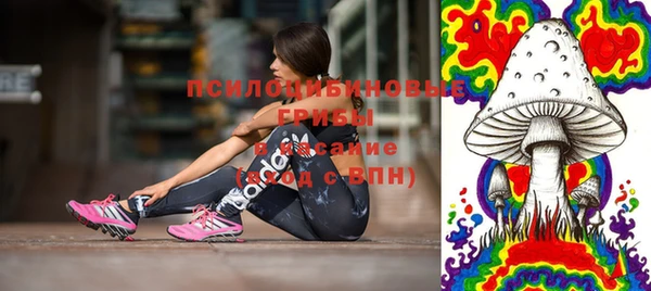 spice Балабаново